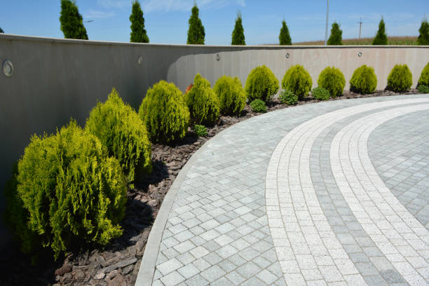 Best Best Driveway Pavers  in Bridgeview, IL